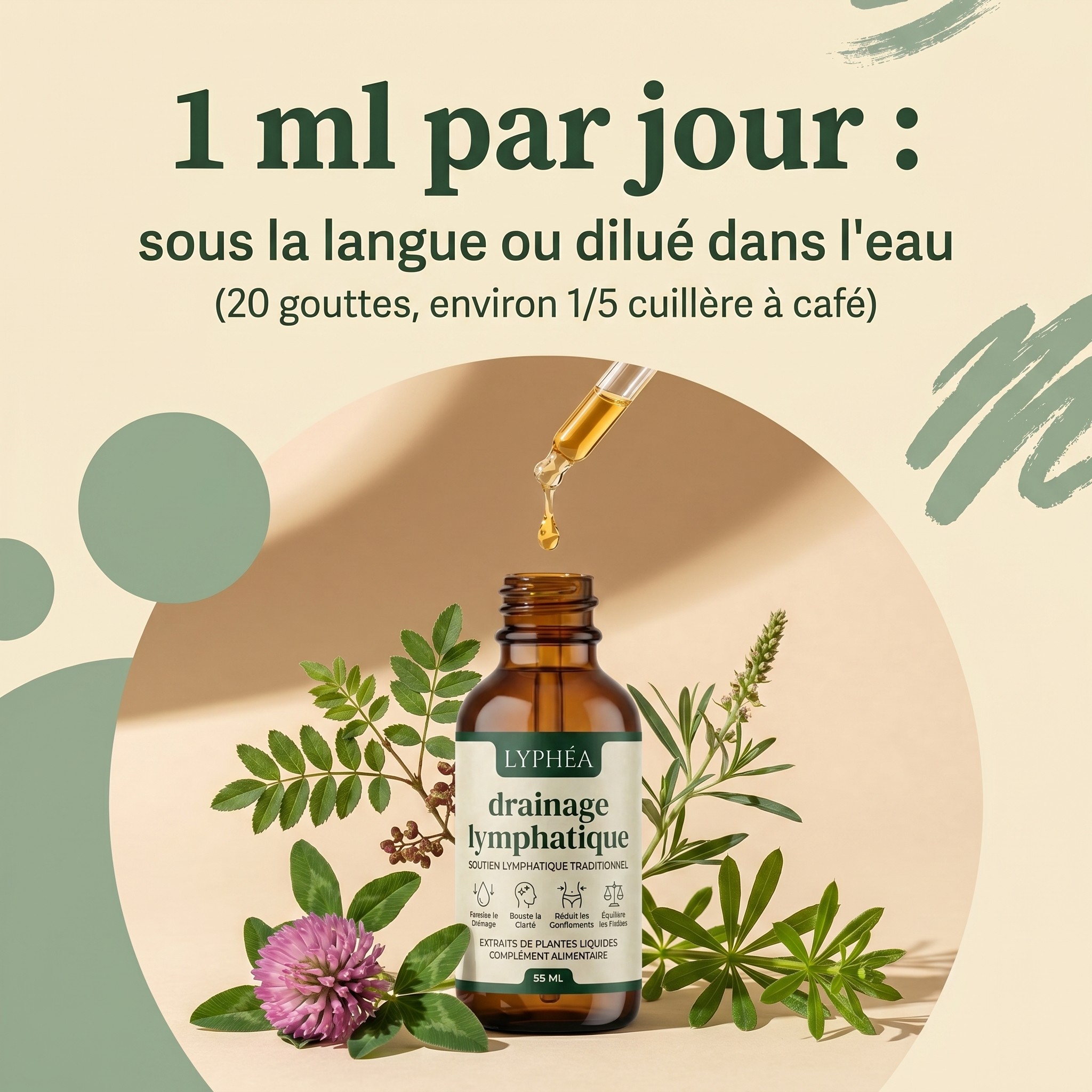 Drainant Lymphatique